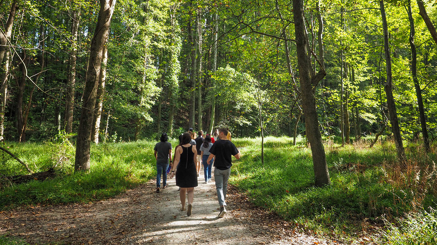 Students walk through the forest at the NC Art Museum park