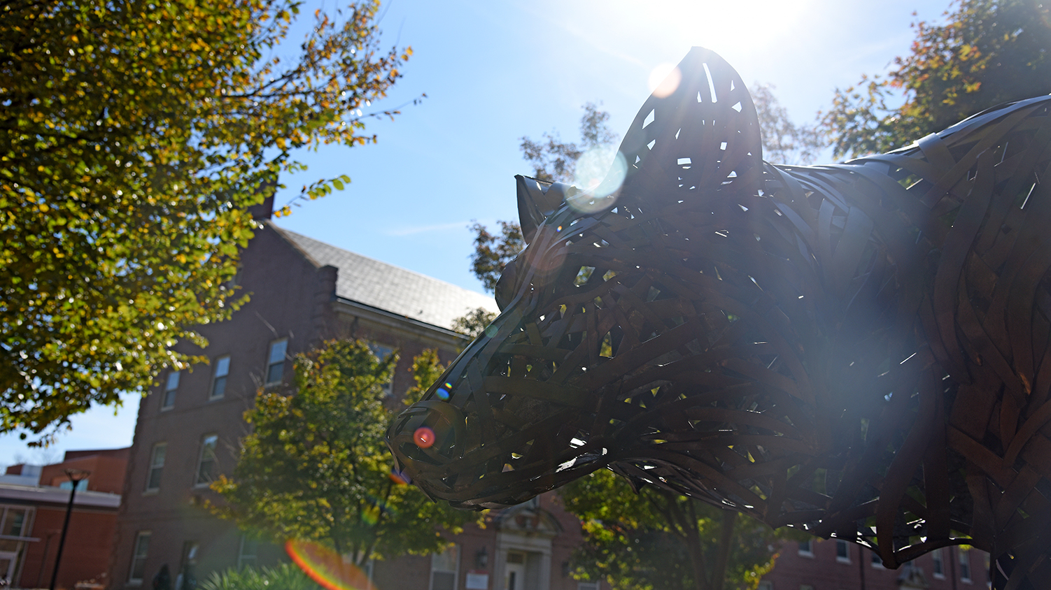 A copper wolf on NC State's campus caught in a sunbeam.