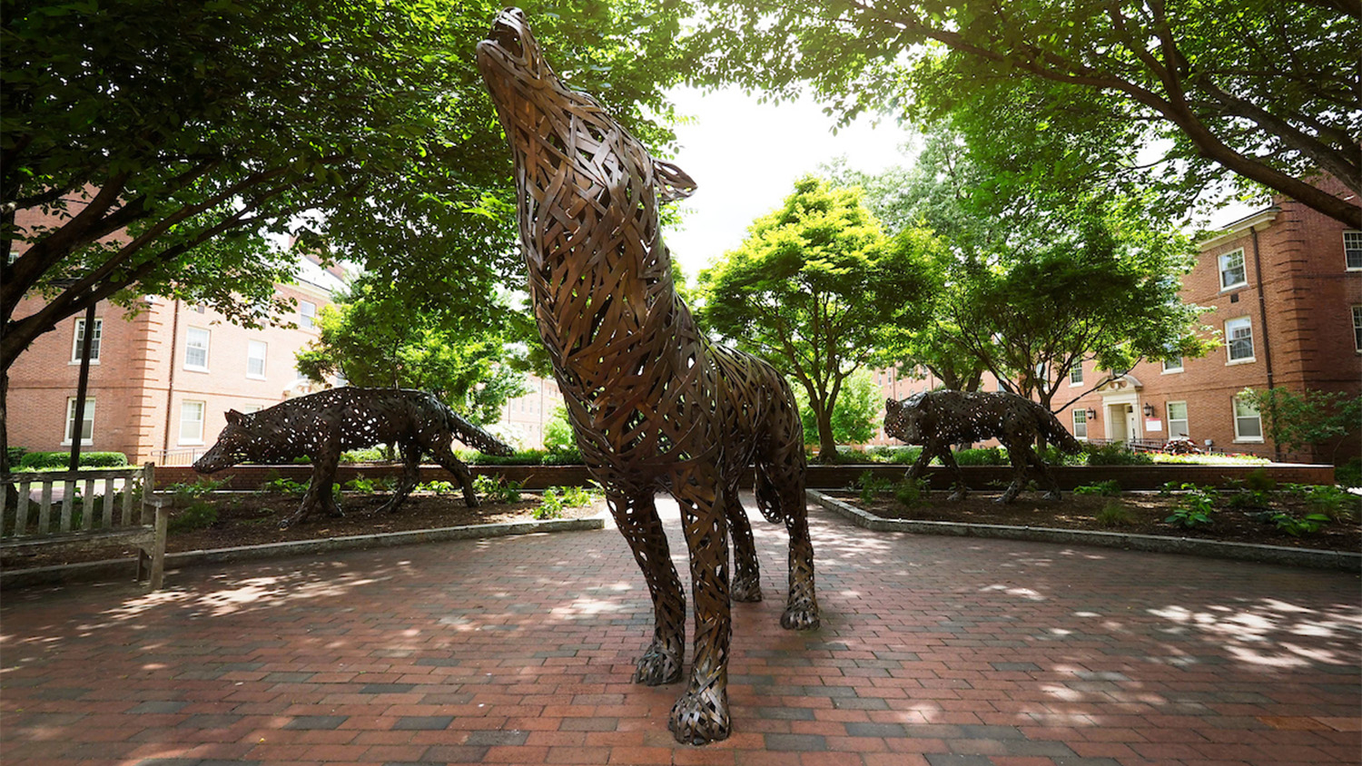 Copper wolf statues in Wolf Plaza on a sunny day